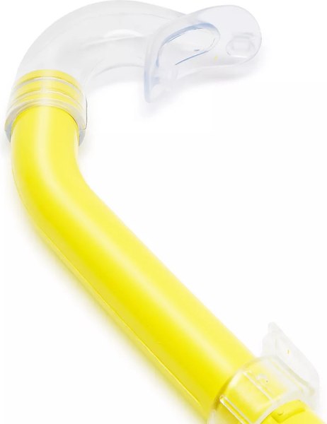 Трубка для плавания Salvas Fizzy Snorkel DA137T0GTSTS (L, желтый)