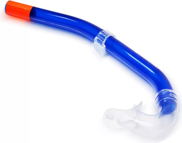 Трубка для плавания Salvas Fizzy Snorkel DA137T0BTSTS (L, синий)