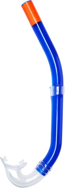 Трубка для плавания Salvas Fizzy Snorkel DA137T0BTSTS (L, синий)