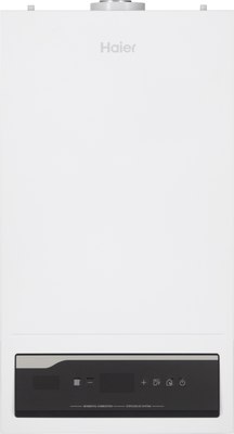 Газовый котел Haier ProLine S 1.24 Ti / GE0Q63E0BRU - 