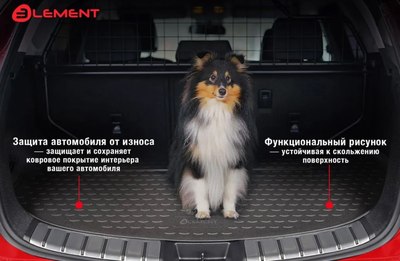 

Коврик для багажника, ELEMENTAN0177B13 для Geely Atlas Pro