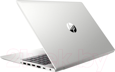 Ноутбук HP ProBook 450 G6 (4SZ45AVB)