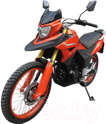 Мотоцикл Racer Ranger RC300-GY8 (оранжевый)