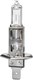 Комплект автомобильных ламп ClearLight MLH1NLV200 (2шт) - 