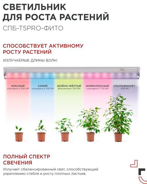 Светильник для растений INhome СПБ-Т5PRO-Фито / 4690612055411
