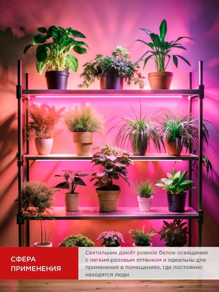 Светильник для растений INhome СПБ-Т5PRO-Фито / 4690612055411