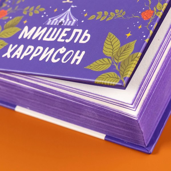 Книга Альпина 13 секретов / 9785961488845 (Харрисон Мишель)