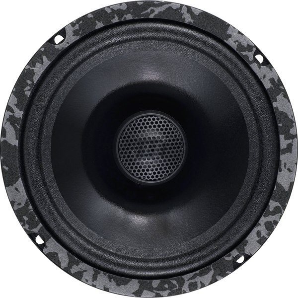 Коаксиальная АС DL Audio Anaconda 165 Coax
