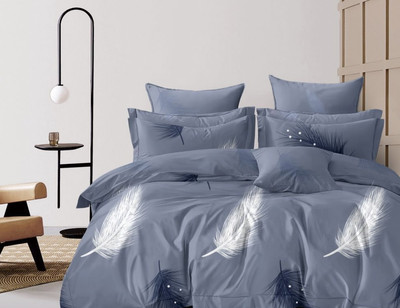 

Комплект постельного белья, №1806 A/B 2.0 с европростыней