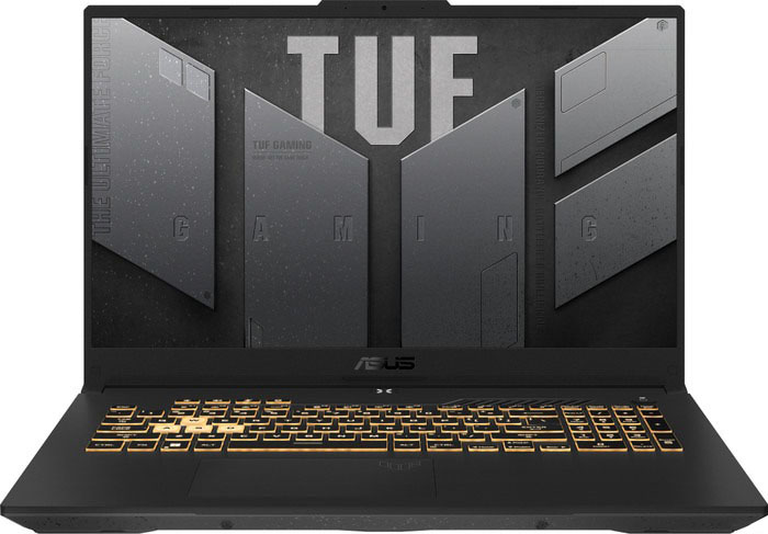 Игровой ноутбук Asus TUF Gaming F17 FX707ZC4-HX100