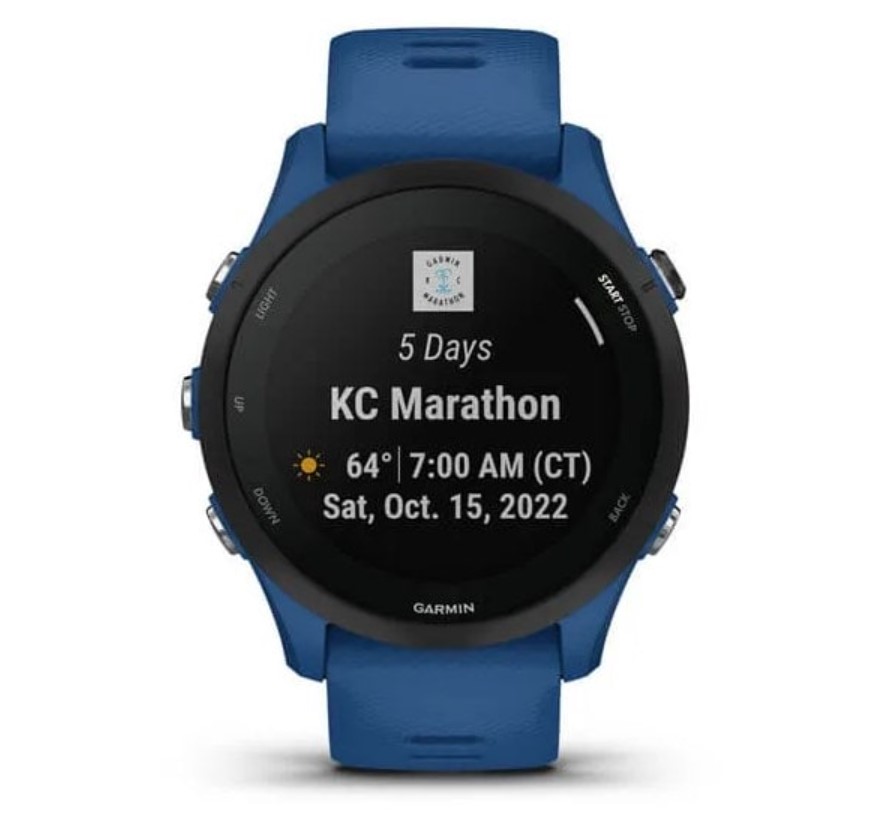 Умные часы Garmin Forerunner 255 46mm / 010-02641-11