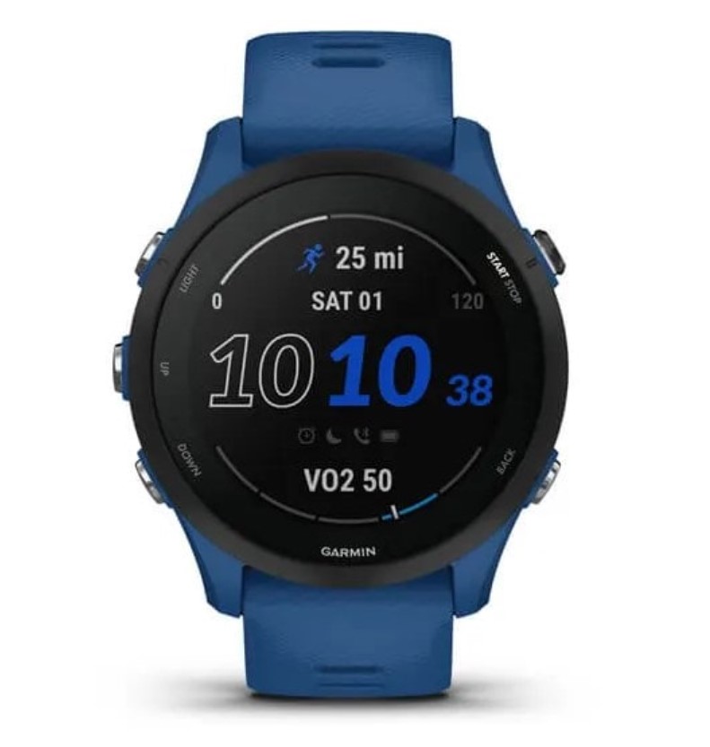 Умные часы Garmin Forerunner 255 46mm / 010-02641-11