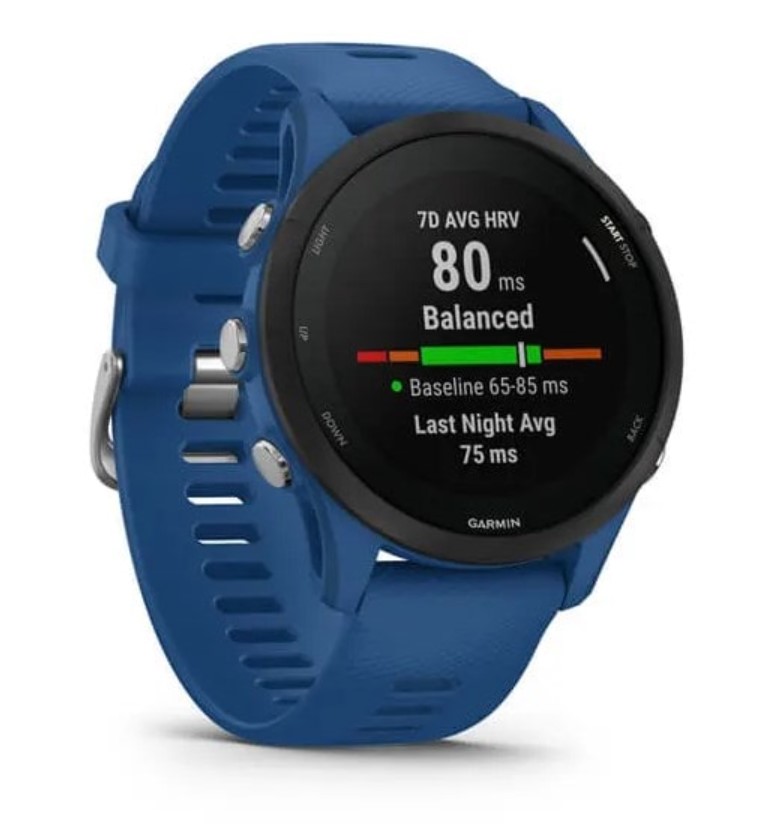 Умные часы Garmin Forerunner 255 46mm / 010-02641-11