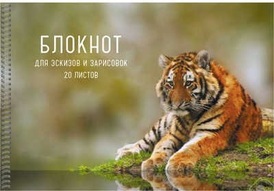 Альбом для рисования Listoff Тигр / БС20182 - 