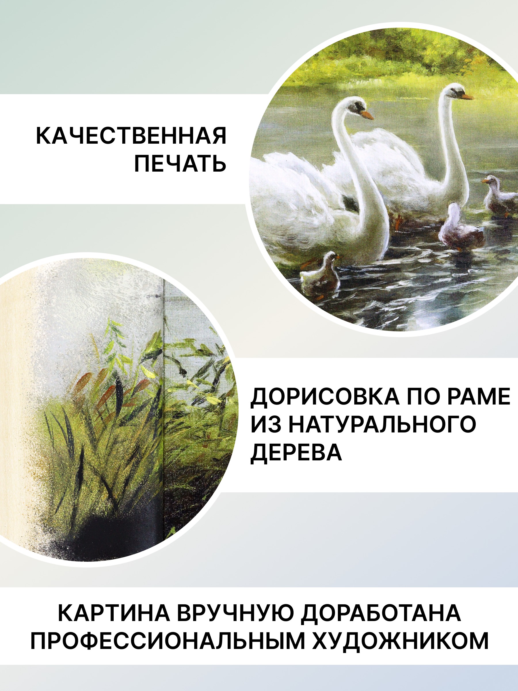 Картина Декарт Лебединая семья 8Л2385 (в раме) — фото 3