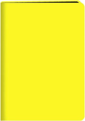 

Записная книжка, Neon / БНККЛ6484326