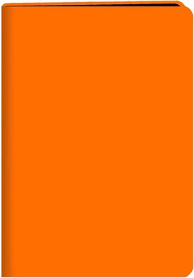 

Записная книжка, Neon / БНККЛ6484324