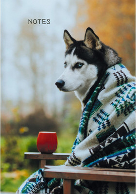 

Записная книжка, Осенний друг / КЗ51003499