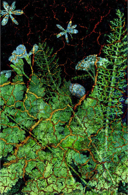 Записная книжка Listoff Тайны леса / КЗ51004022 - 