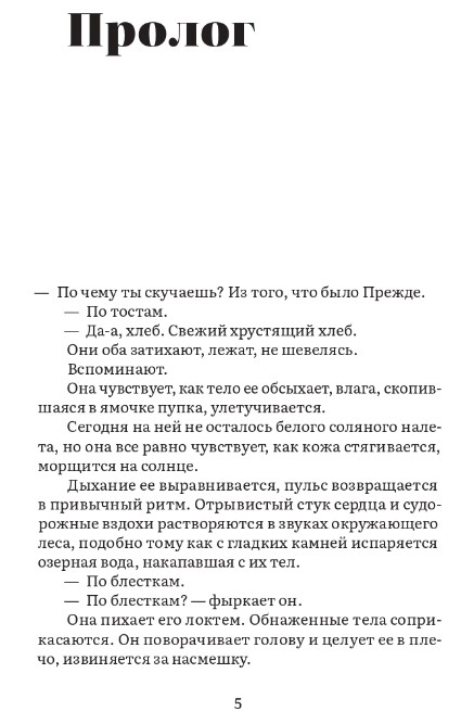Художественная книга Дом историй Остов твердая обложка (Сойер Кейт) — фото 2