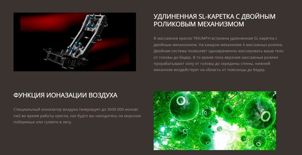 Изображение товара Массажное кресло Richter Triumph (черный)