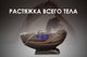 Миниатюра изображения товара Массажное кресло Richter Triumph (черный)