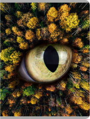 Тетрадь Listoff Взгляд на природу / ТГ4805139 -