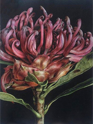 Тетрадь Listoff Хризантема / ТЛ4965159 - 