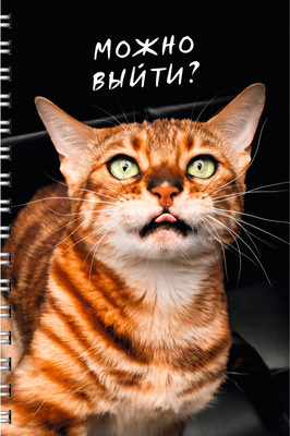 Тетрадь Listoff Котики / ТС2Л4805211 -