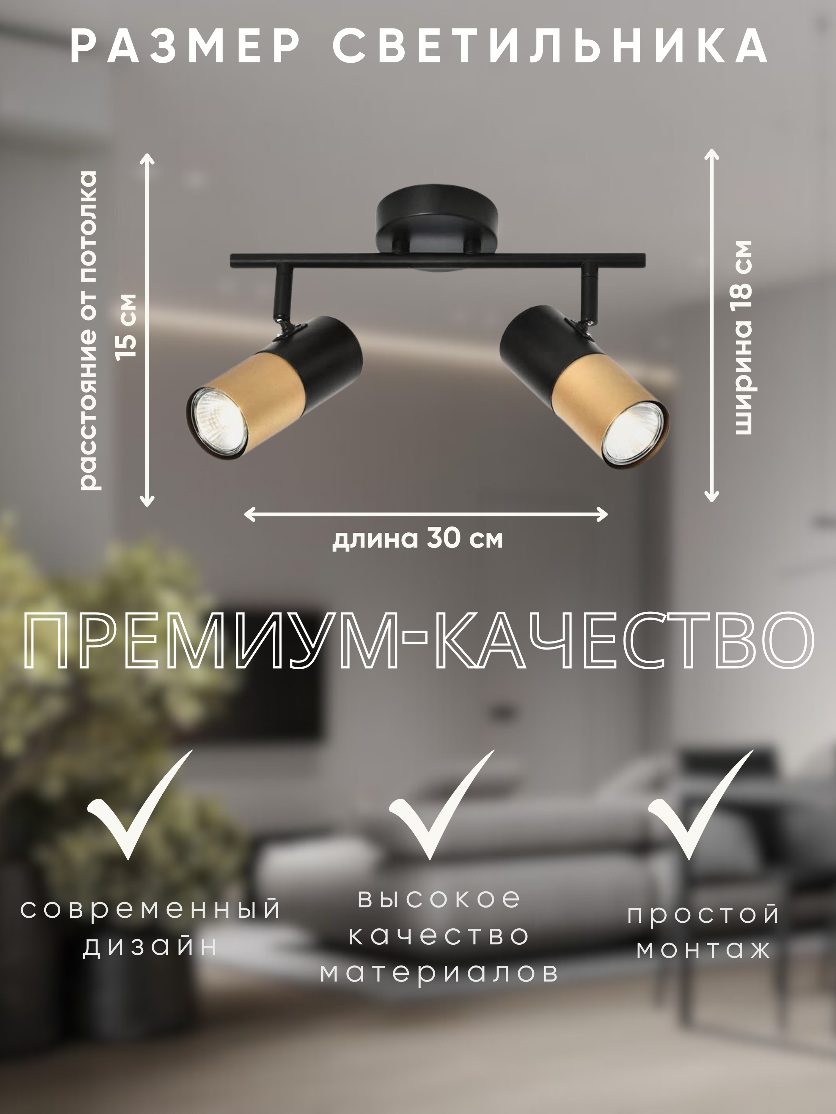 Спот Zhong Lighting Limited WND21660/2