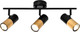 Спот Zhong Lighting Limited WND21660/3 - 