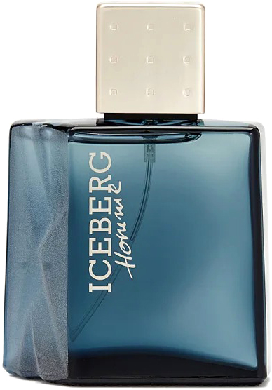 Туалетная вода Iceberg Parfum Homme