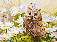 

Картина по номерам, Сова Везучка / 016-AS