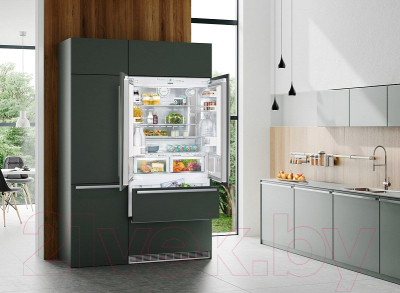 Встраиваемый холодильник Liebherr ECBN 6256-23 001