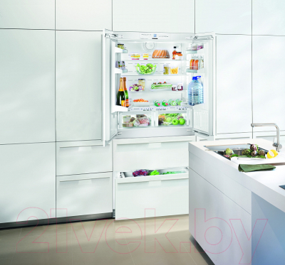 Встраиваемый холодильник Liebherr ECBN 6256-23 001