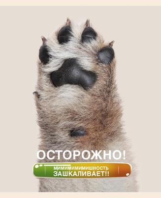 Тетрадь Listoff Осторожно, щеночки / ТК488352 - 