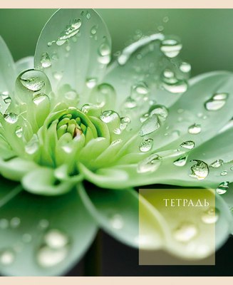 Тетрадь Listoff Чарующая природа / ТК488665 - 