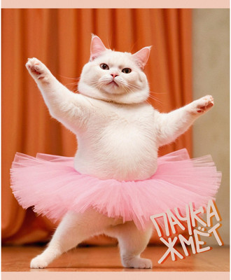 Тетрадь Listoff Пушистый балет / ТК489130 - 