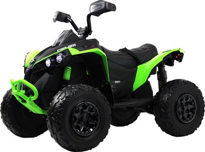 

Детский квадроцикл, BRP Can-Am Renegade Y333YY