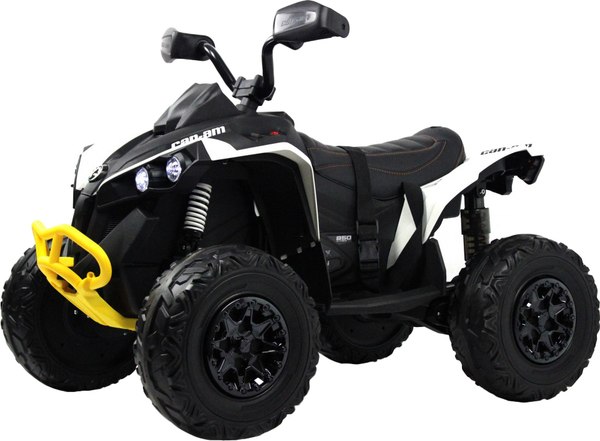 Детский квадроцикл RiverToys BRP Can-Am Renegade Y333YY