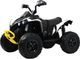 Детский квадроцикл RiverToys BRP Can-Am Renegade Y333YY (белый) - 