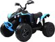 Детский квадроцикл RiverToys BRP Can-Am Renegade Y333YY (синий) - 