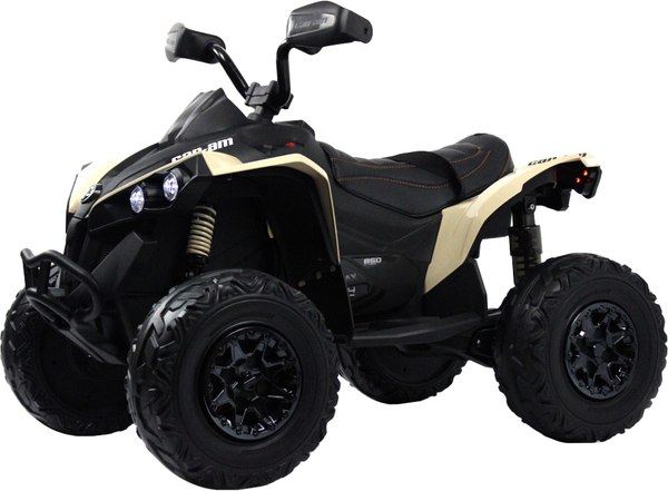 Детский квадроцикл RiverToys BRP Can-Am Renegade Y333YY