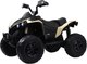 Детский квадроцикл RiverToys BRP Can-Am Renegade Y333YY (хаки) - 