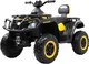 Детский квадроцикл RiverToys T001TT 4WD (желтый) - 