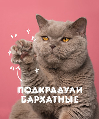 Тетрадь Listoff Подкрадули / ТСЛ808828 -