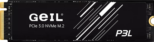 SSD диск GeIL P3L 512G (P3LFD16I512D)