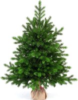 Ель искусственная National Tree Company Грация Премиум 3D / ГР/ПР-90 (90см) - 