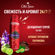 Дезодорант-спрей Old Spice Rockstar (150мл) - 