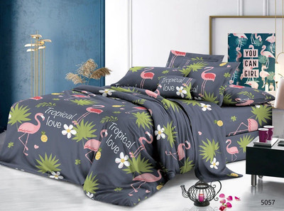 Комплект постельного белья Бояртекс №5057 2.0 с европростыней (креп-жатка) - 